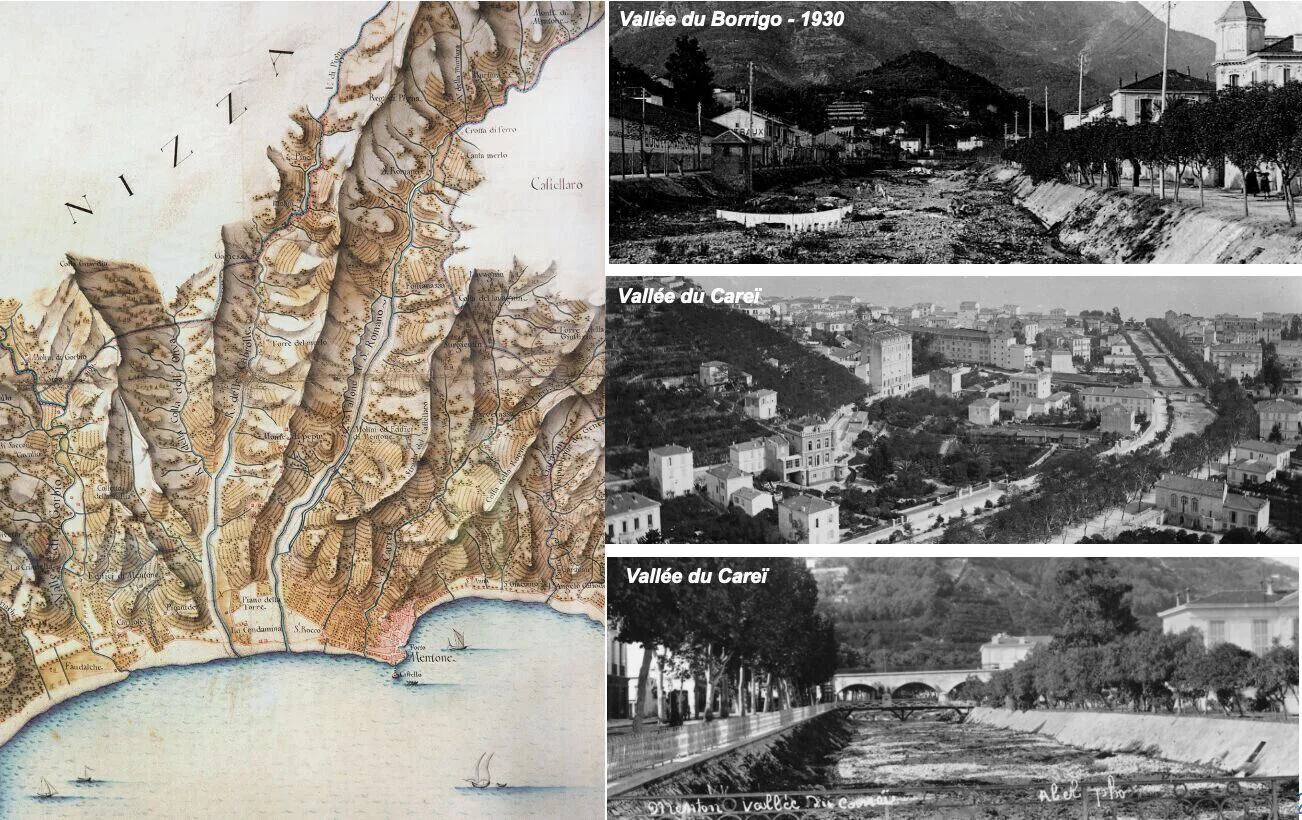 herbiers de posidonie 1 1